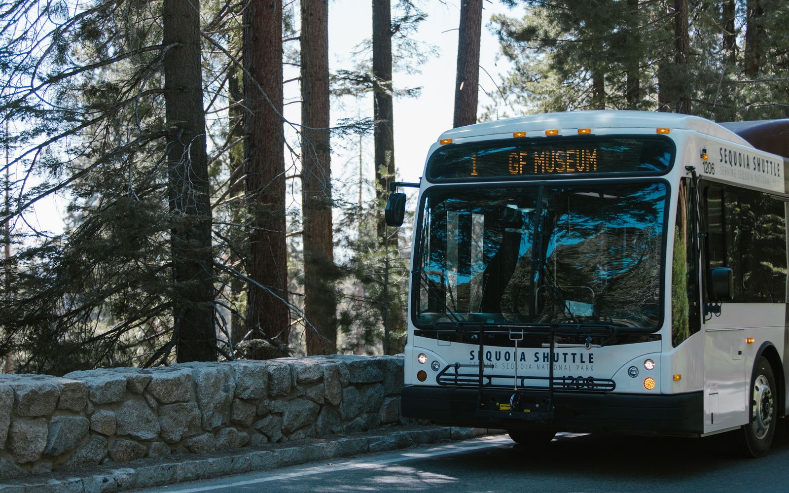 Mini Coach